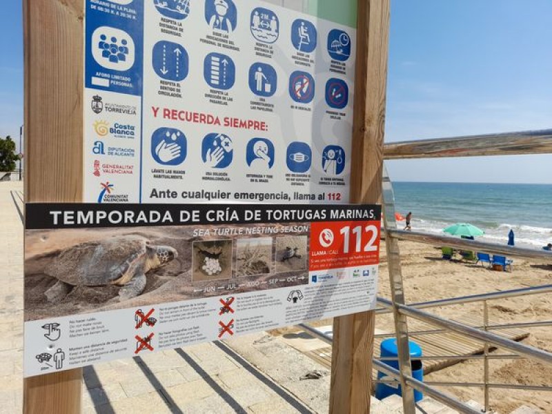 <span style='color:#780948'>ARCHIVED</span> - Protecting nesting sea turtles on beaches in Torrevieja
