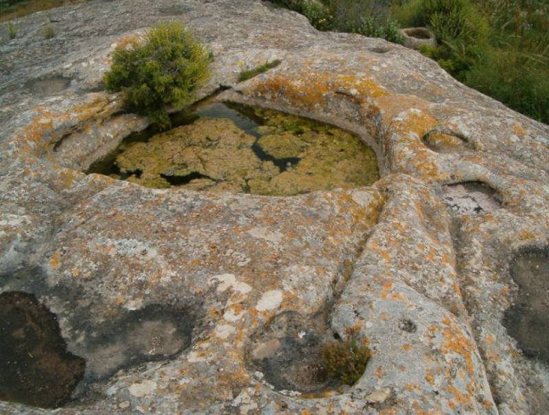 June 11 Guided walk around Monte Arabi and its rock prehistoric art in the Yecla countryside