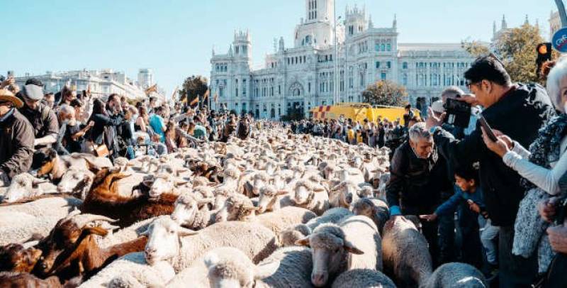 Spanish News Today Editors Roundup Weekly Bulletin Oct 20
