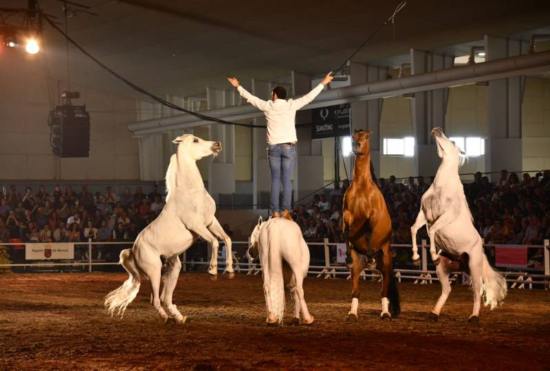 April 25 to 28 Equimur horse show in Torre Pacheco