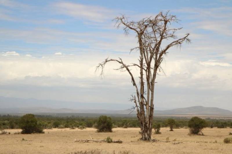 Murcia, Valencia and Andalucía join forces to combat drought