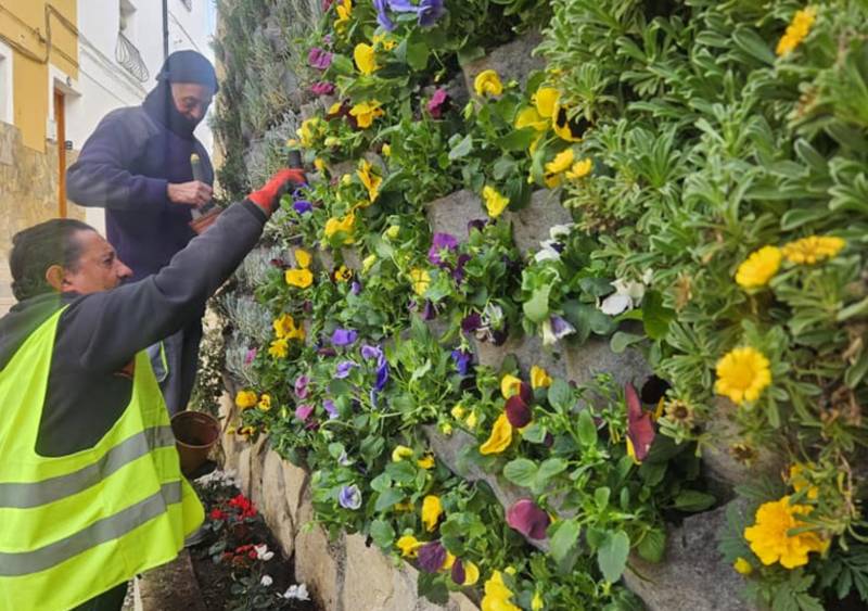 Caravaca goes green this Christmas with hundreds of newly planted flowers