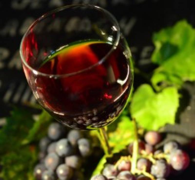 Yecla's grape growers optimistic for a 30-40% harvest boost after years of drought