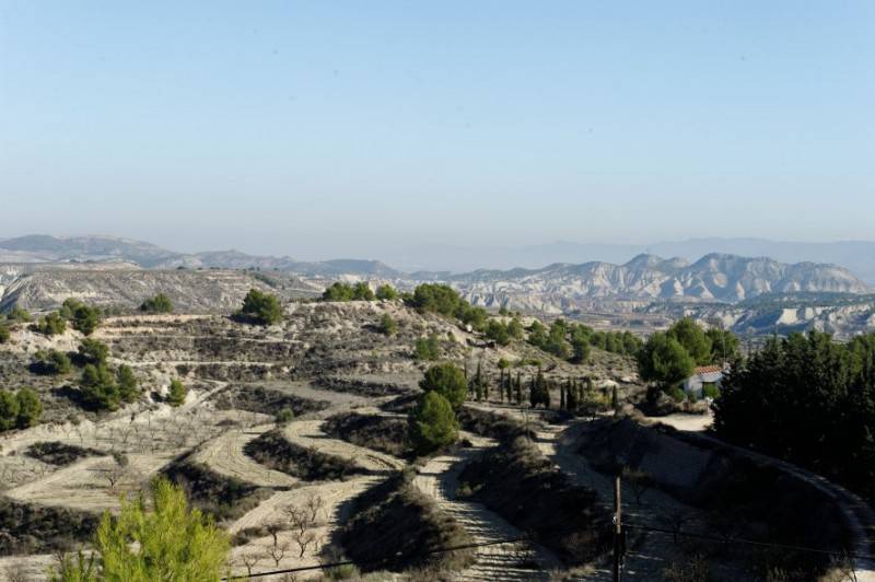 October 25 Free guided tour IN ENGLISH of Gebas in the mountains of Sierra Espuña