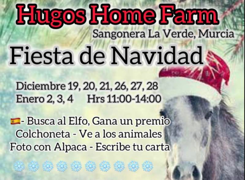 Hugo's Home Farm hosts festive Christmas party to raise funds for animal rescue