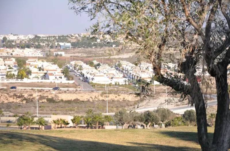 Merry Christmas and a big thank you from Camposol Today