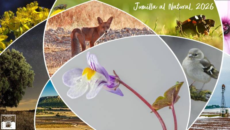 Until January 11 Nature photography exhibition in Jumilla