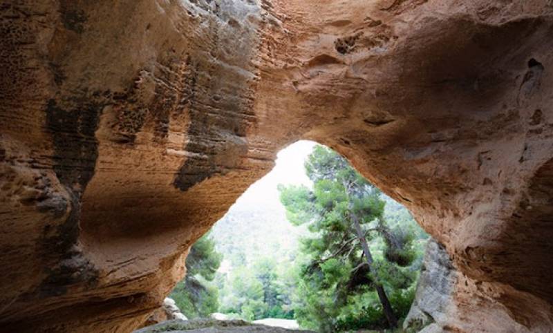 5 ways to enjoy a great day out in Yecla