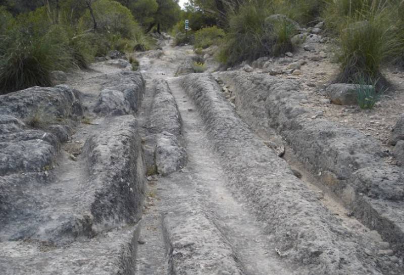 April 26 Free guided walk in the Sierra de la Pedrera in Jumilla