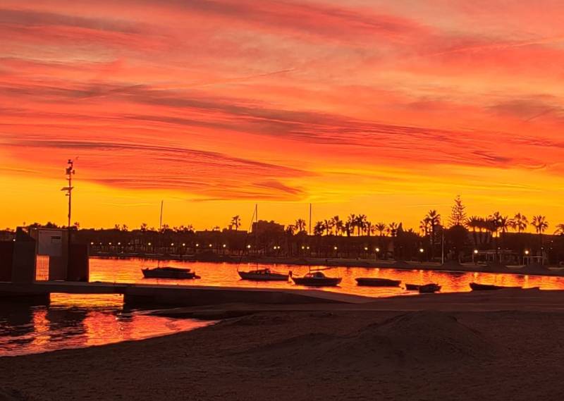 'They have to use their phones in a positive and creative way': Art students continue to wow with their photography and English skills