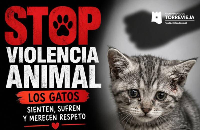 Torrevieja man arrested after cat beaten to death in shocking street attack