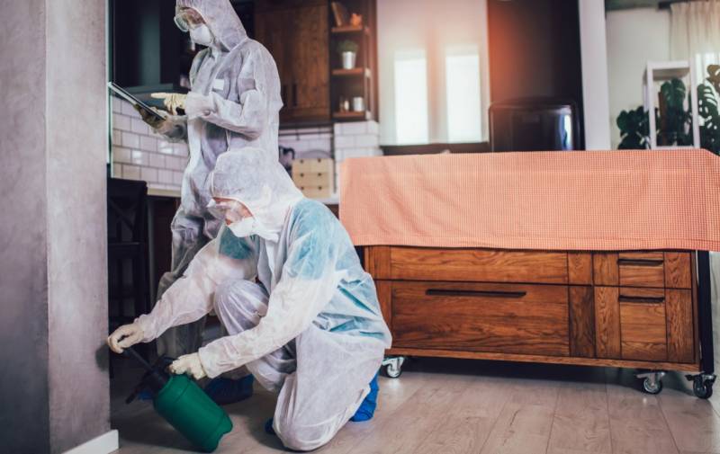 Ultimate Guide to Pest Control in Marbella for Homeowners