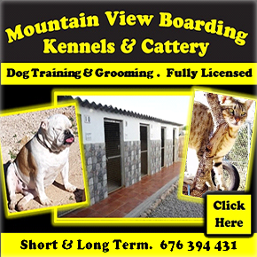 Mountain View Kennels